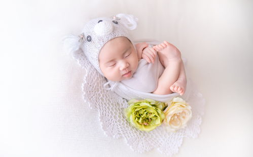 孕妇摄影客片 新生儿摄影客片 儿童摄影客片 亲子摄影客片 爱儿美儿童摄影真实客片展示